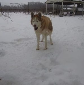 Meet your Posher, Eduardo